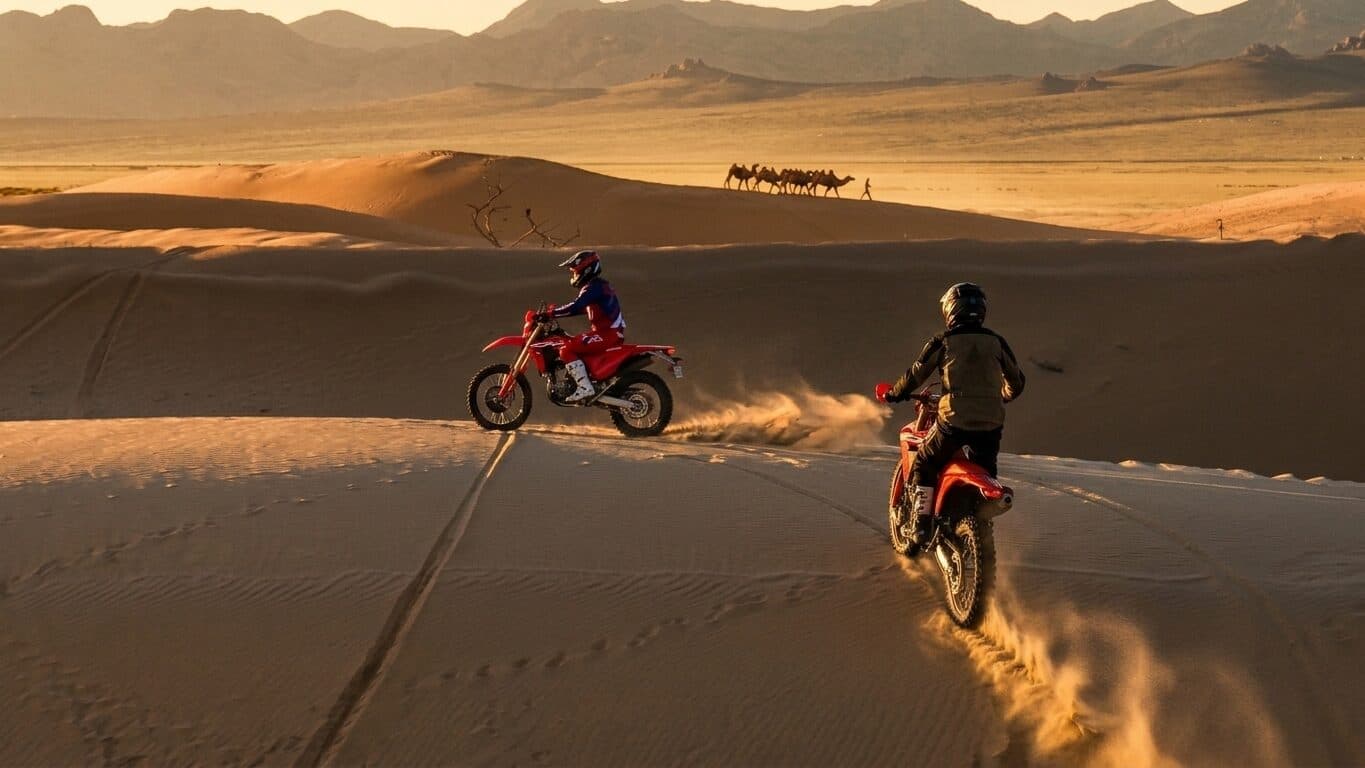Rider silhouetted against the Gobi horizon at dusk